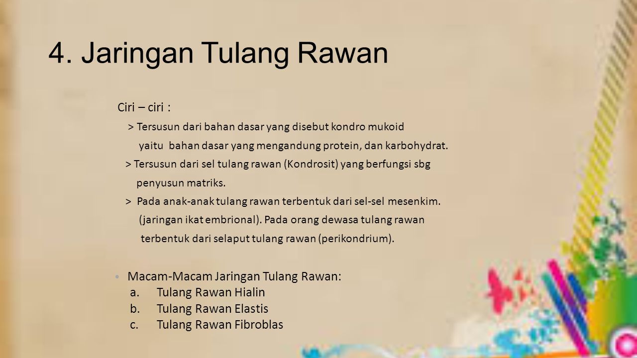 Ciri Tulang Rawan Hialin Materi Belajar Online